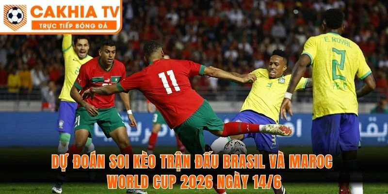 Dự đoán soi kèo trận đấu Brasil và Maroc World Cup 2026 ngày 14/6